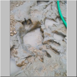 100_0647 (2009-27-07).JPG